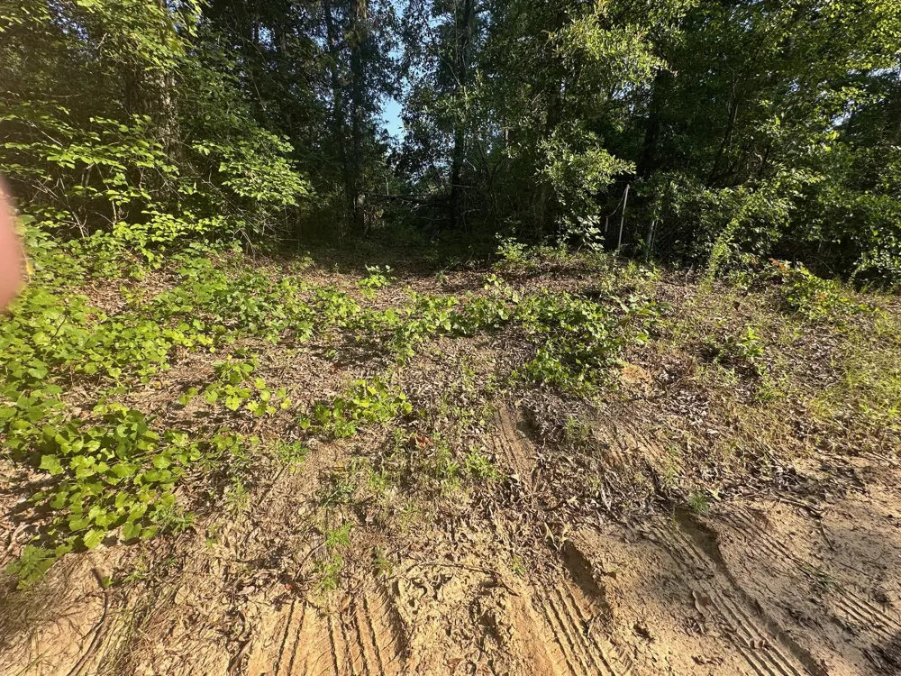 2576 Jessie James Pond Road Wrens, GA 30833