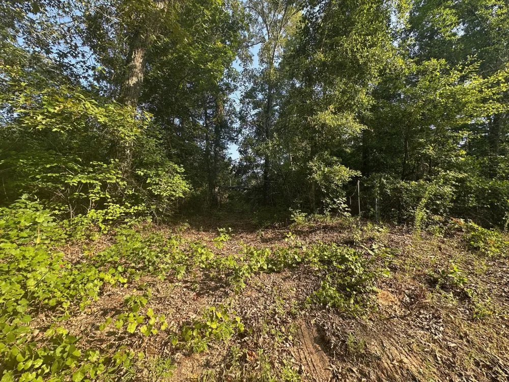 2576 Jessie James Pond Road Wrens, GA 30833