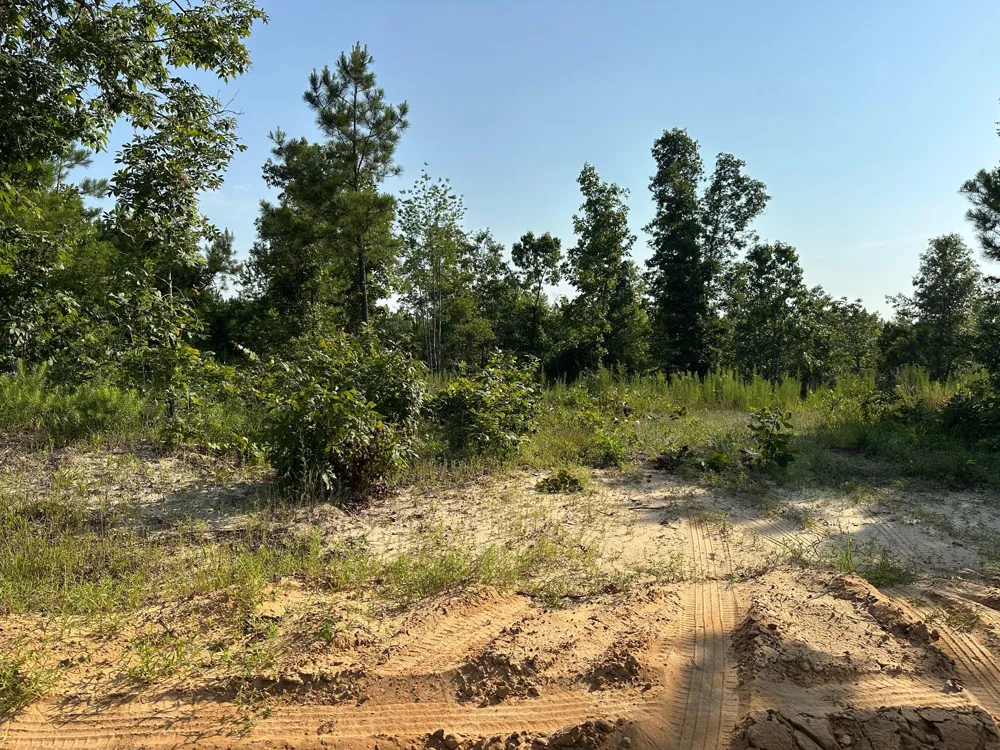 2576 Jessie James Pond Road Wrens, GA 30833