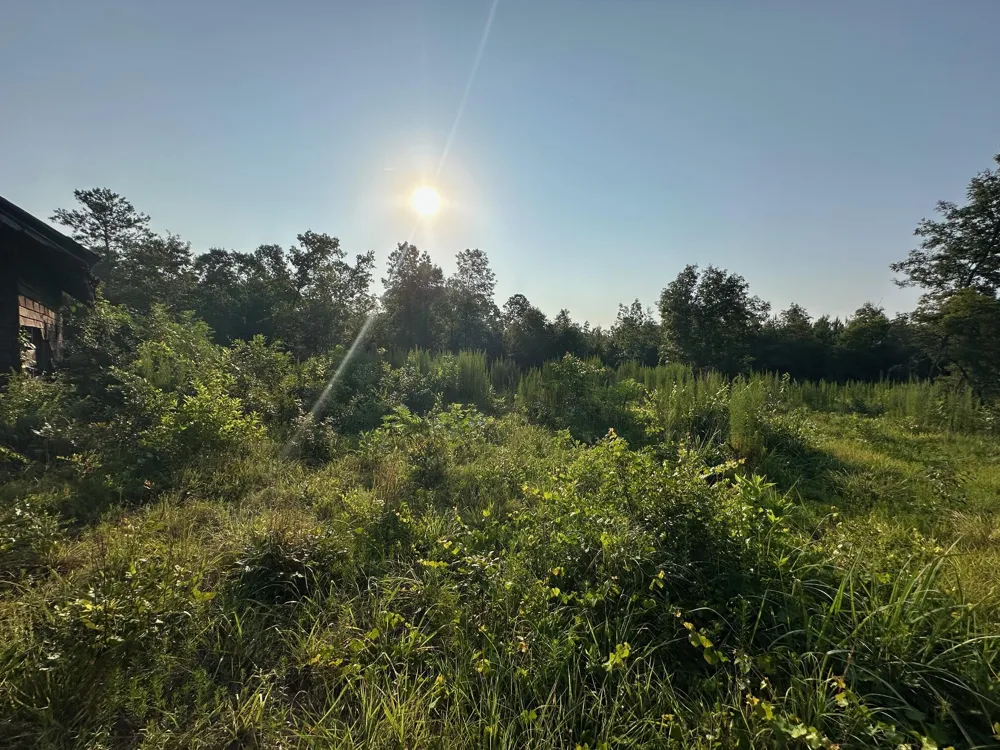 2576 Jessie James Pond Road Wrens, GA 30833