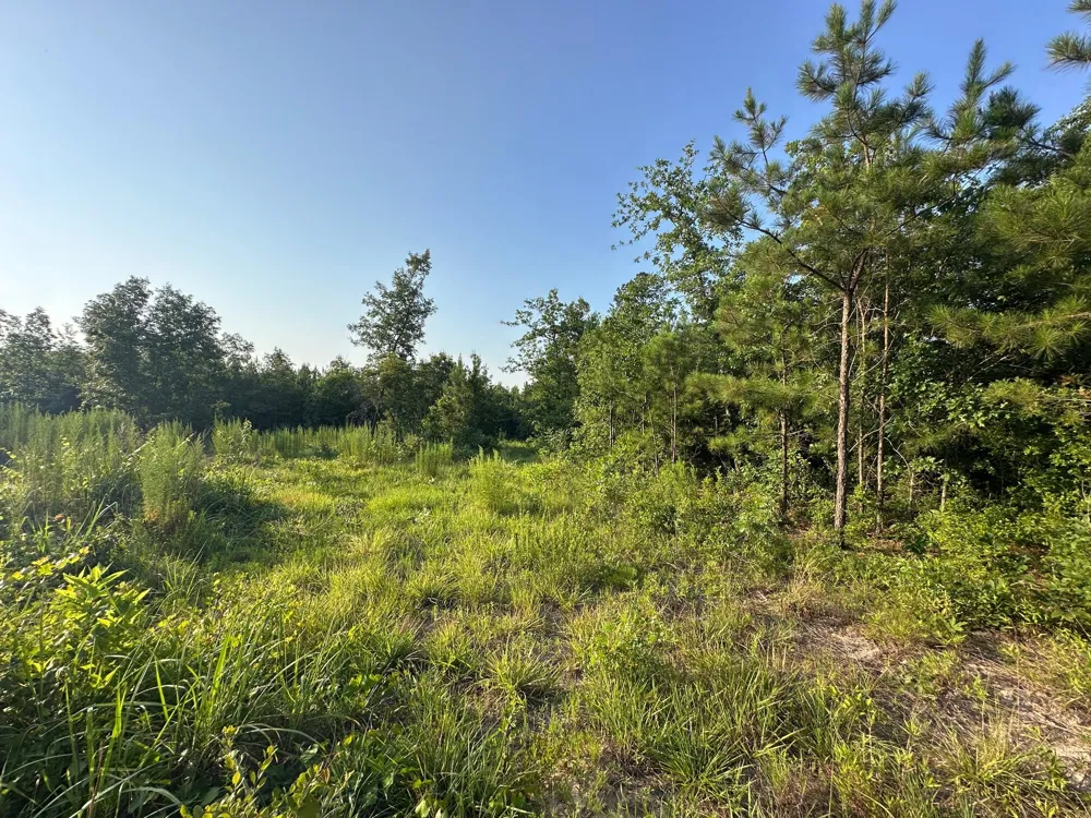2576 Jessie James Pond Road Wrens, GA 30833