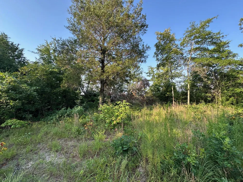 2576 Jessie James Pond Road Wrens, GA 30833
