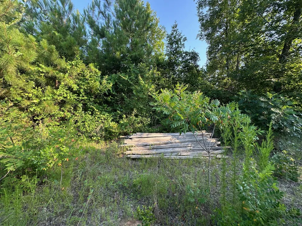 2576 Jessie James Pond Road Wrens, GA 30833