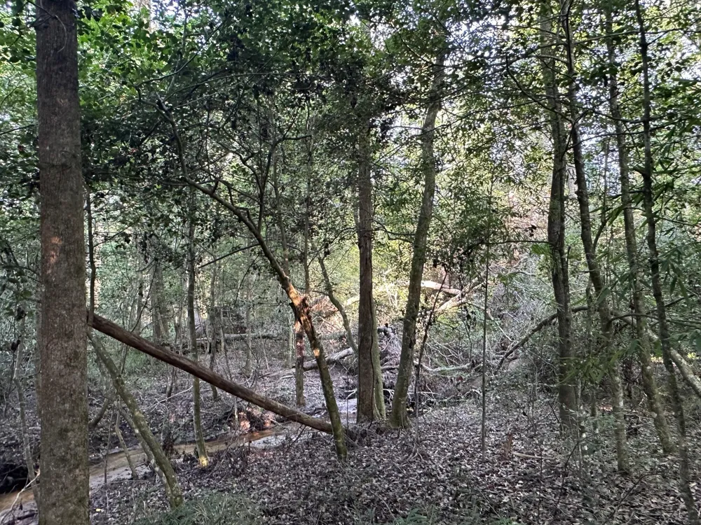 2576 Jessie James Pond Road Wrens, GA 30833