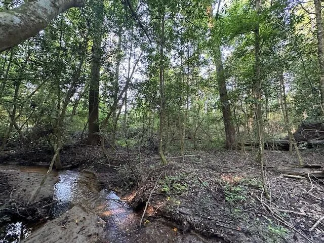 2576 Jessie James Pond Road Wrens, GA 30833