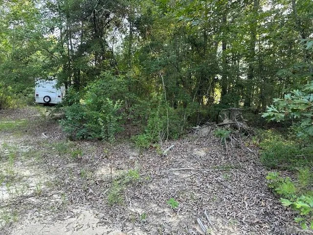 2576 Jessie James Pond Road Wrens, GA 30833