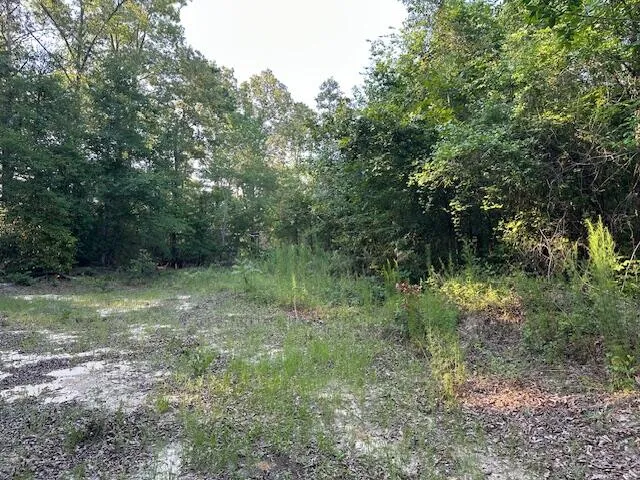2576 Jessie James Pond Road Wrens, GA 30833