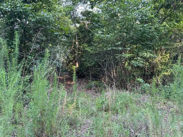 2576 Jessie James Pond Road Wrens, GA 30833