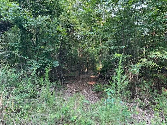 2576 Jessie James Pond Road Wrens, GA 30833