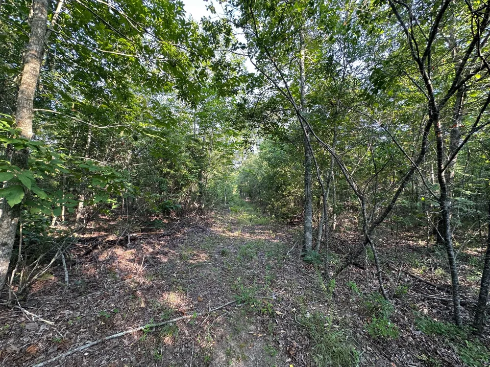 2576 Jessie James Pond Road Wrens, GA 30833