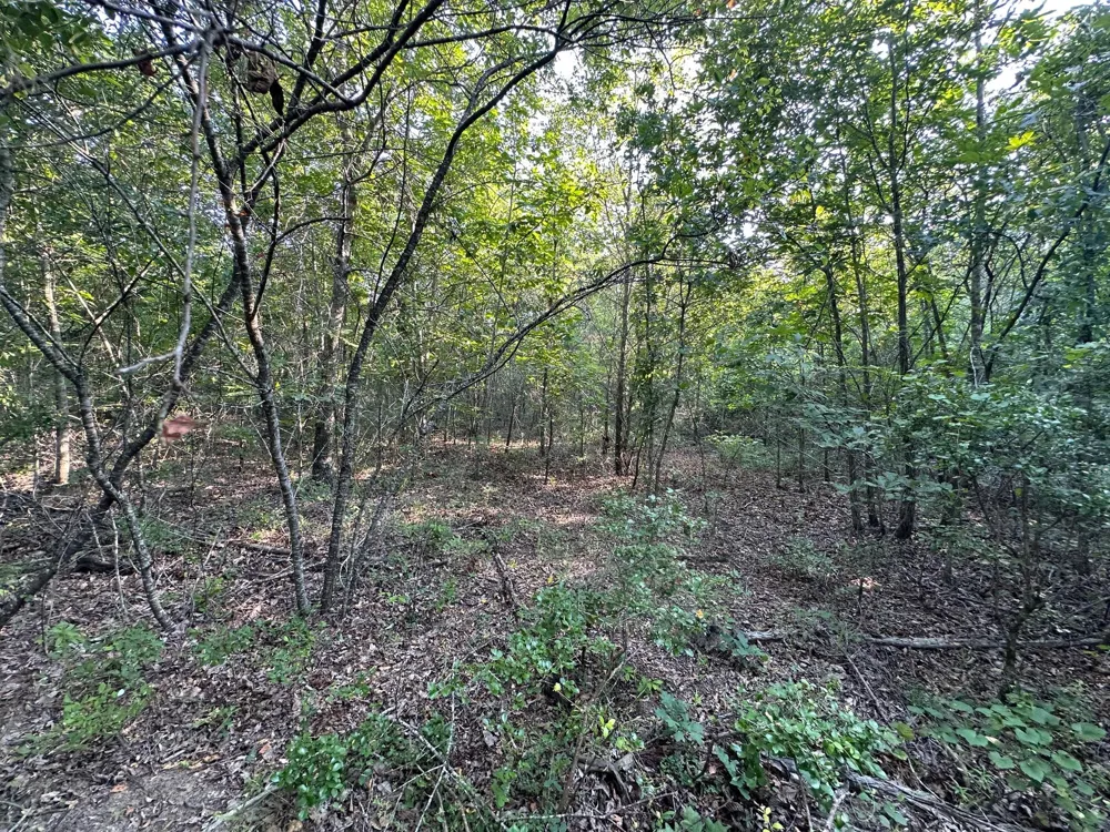 2576 Jessie James Pond Road Wrens, GA 30833