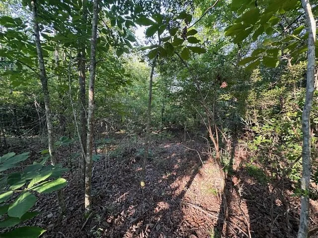 2576 Jessie James Pond Road Wrens, GA 30833