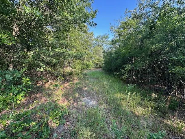 2576 Jessie James Pond Road Wrens, GA 30833