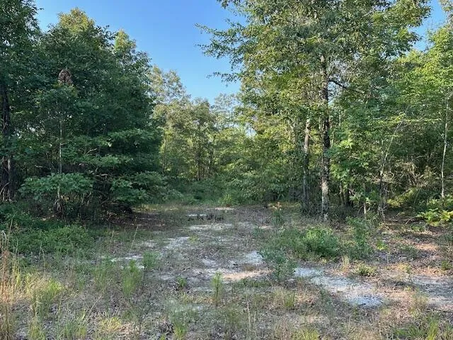 2576 Jessie James Pond Road Wrens, GA 30833