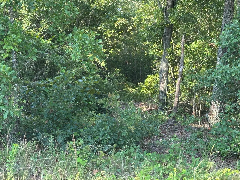 2576 Jessie James Pond Road Wrens, GA 30833