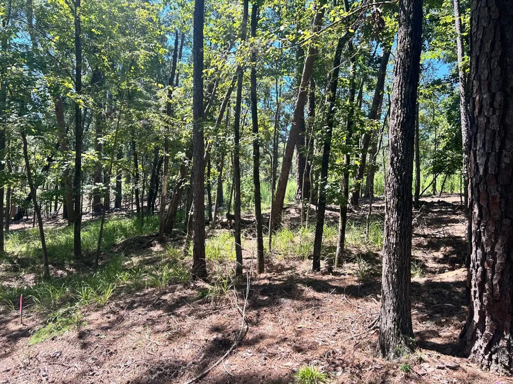 1109 Castle Road Grovetown, GA 30813