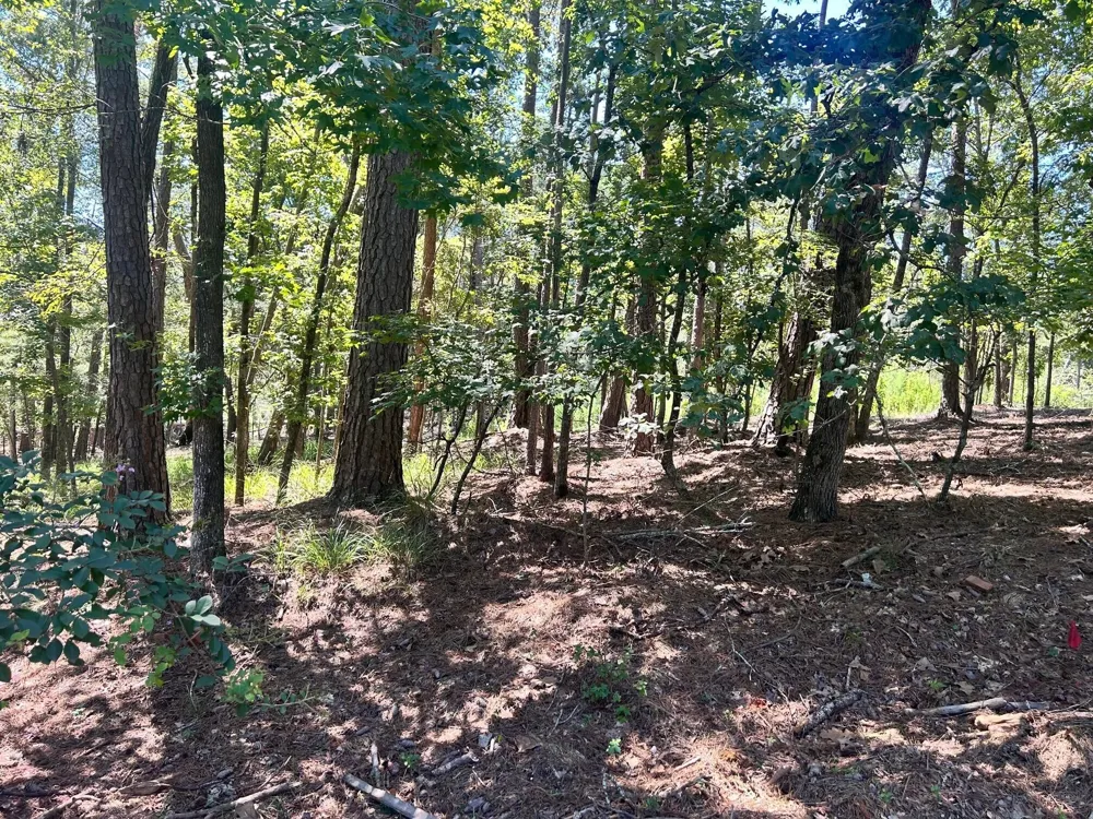 1109 Castle Road Grovetown, GA 30813