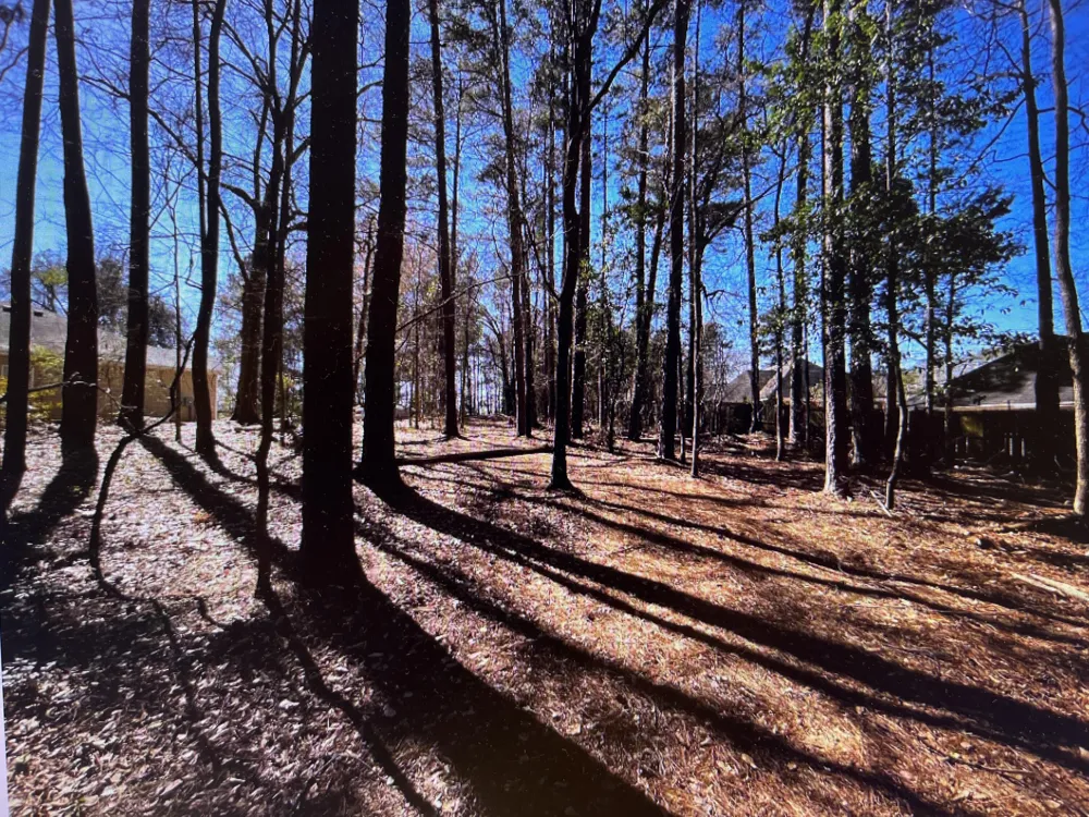0 Osprey Lane Martinez, GA 30907