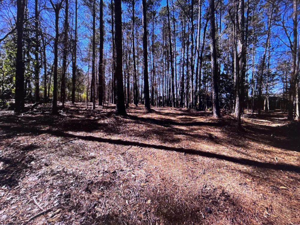 0 Osprey Lane Martinez, GA 30907