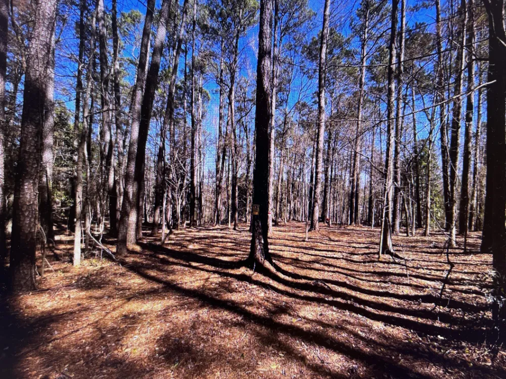 0 Osprey Lane Martinez, GA 30907