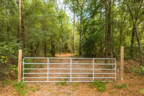 1503 Hephzibah - Mcbean Road
