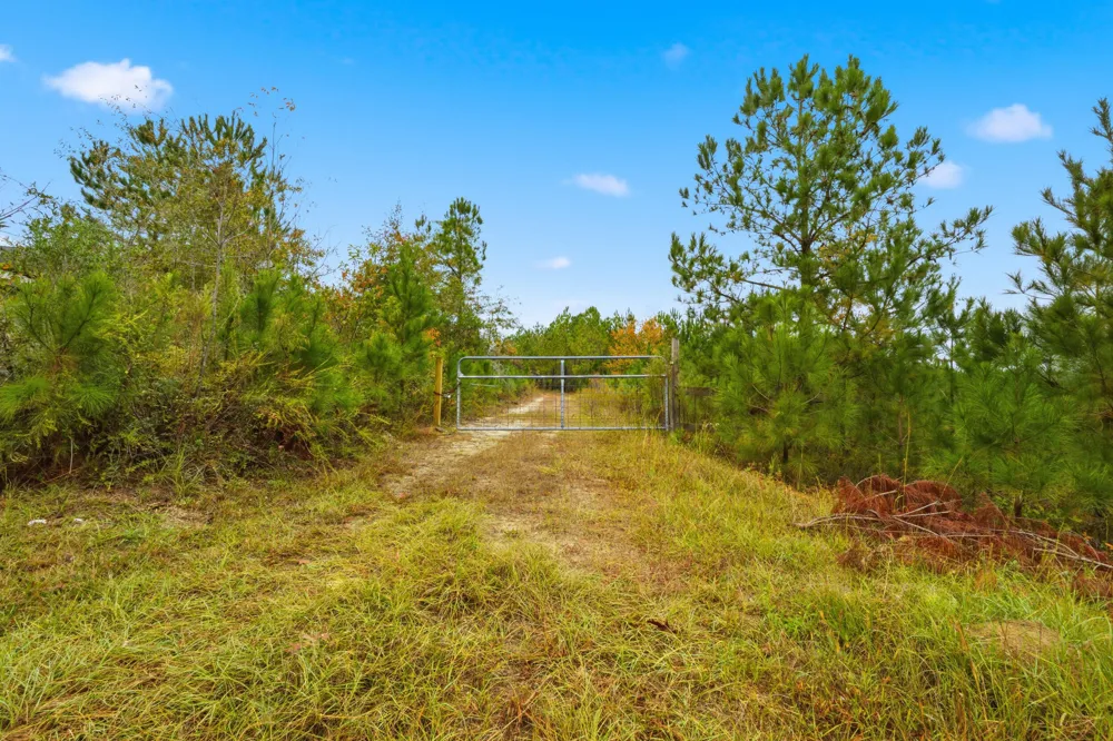2427 B Wire Road Aiken, SC 