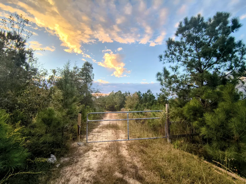 2427 B Wire Road Aiken, SC 
