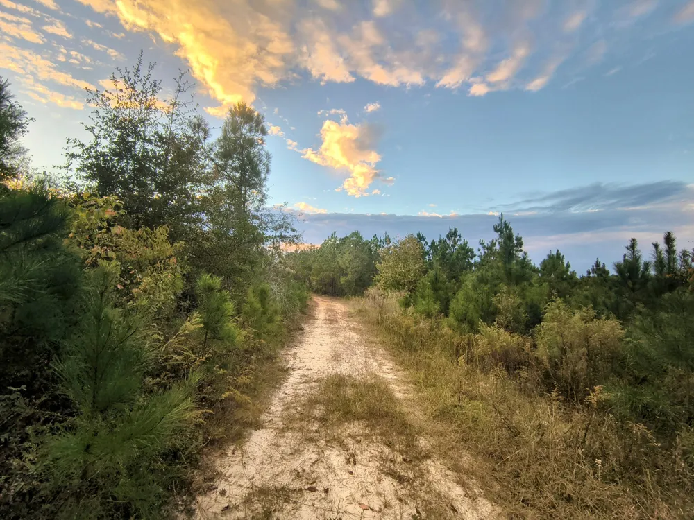 2427 B Wire Road Aiken, SC 