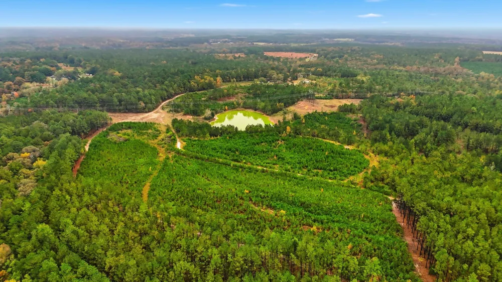 2427 B Wire Road Aiken, SC 