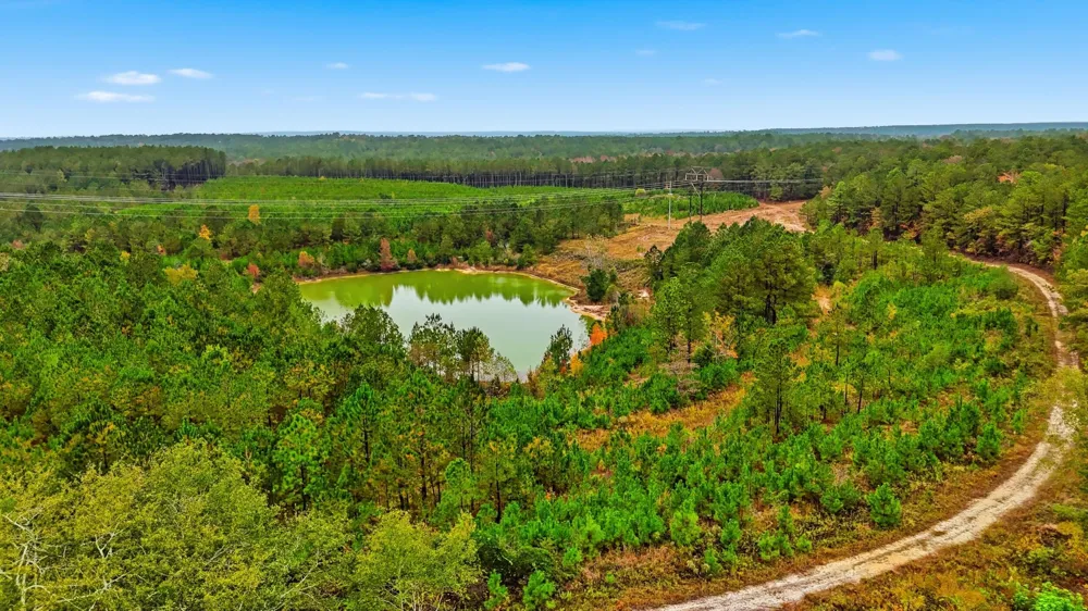 2427 B Wire Road Aiken, SC 