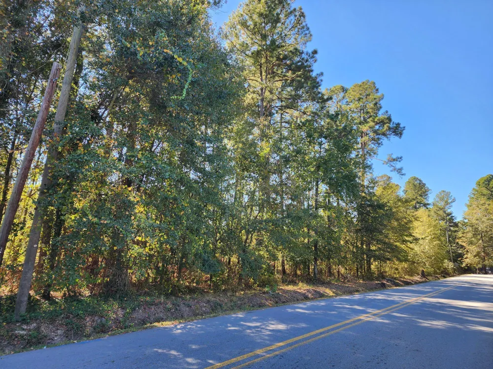 0 Howard Street Wrens, GA 30833
