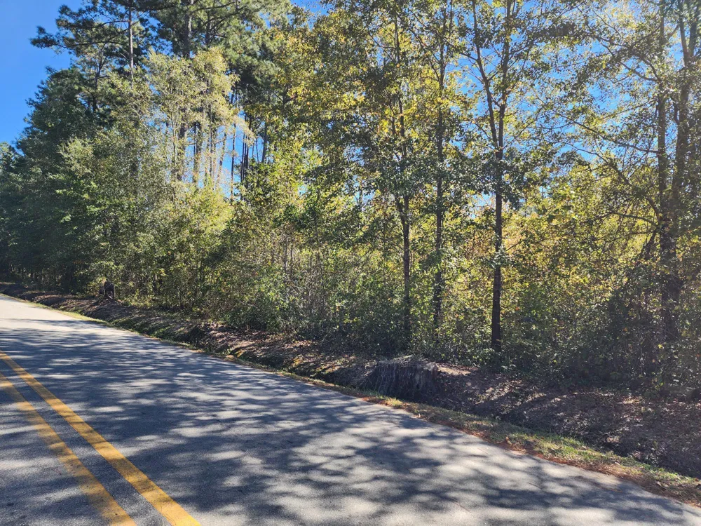 0 Howard Street Wrens, GA 30833