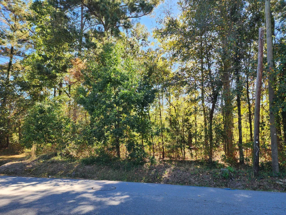 0 Howard Street Wrens, GA 30833