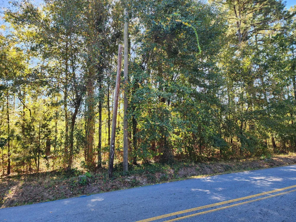 0 Howard Street Wrens, GA 30833