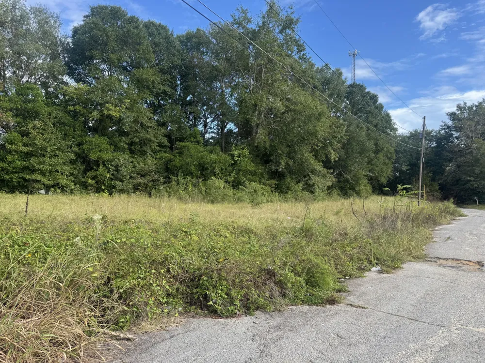 0 Railroad Avenue Waynesboro, GA 30830