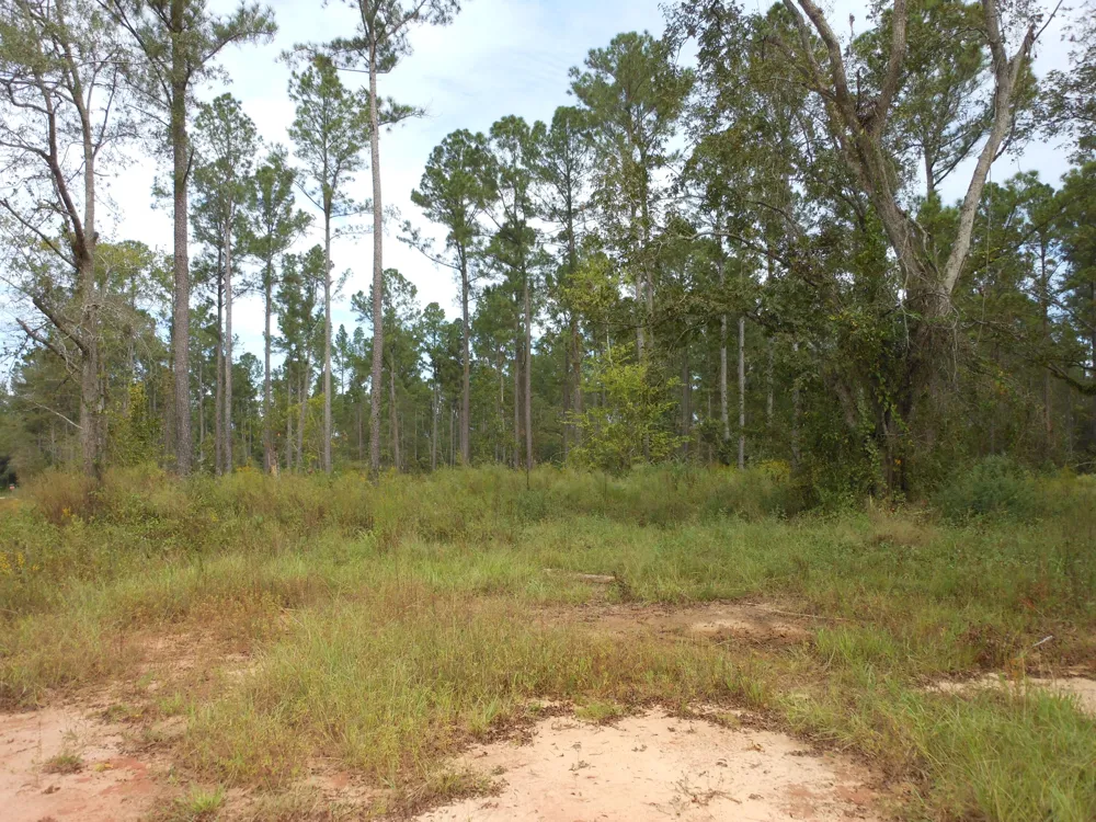 0 Hannah Lane Keysville, GA 30816