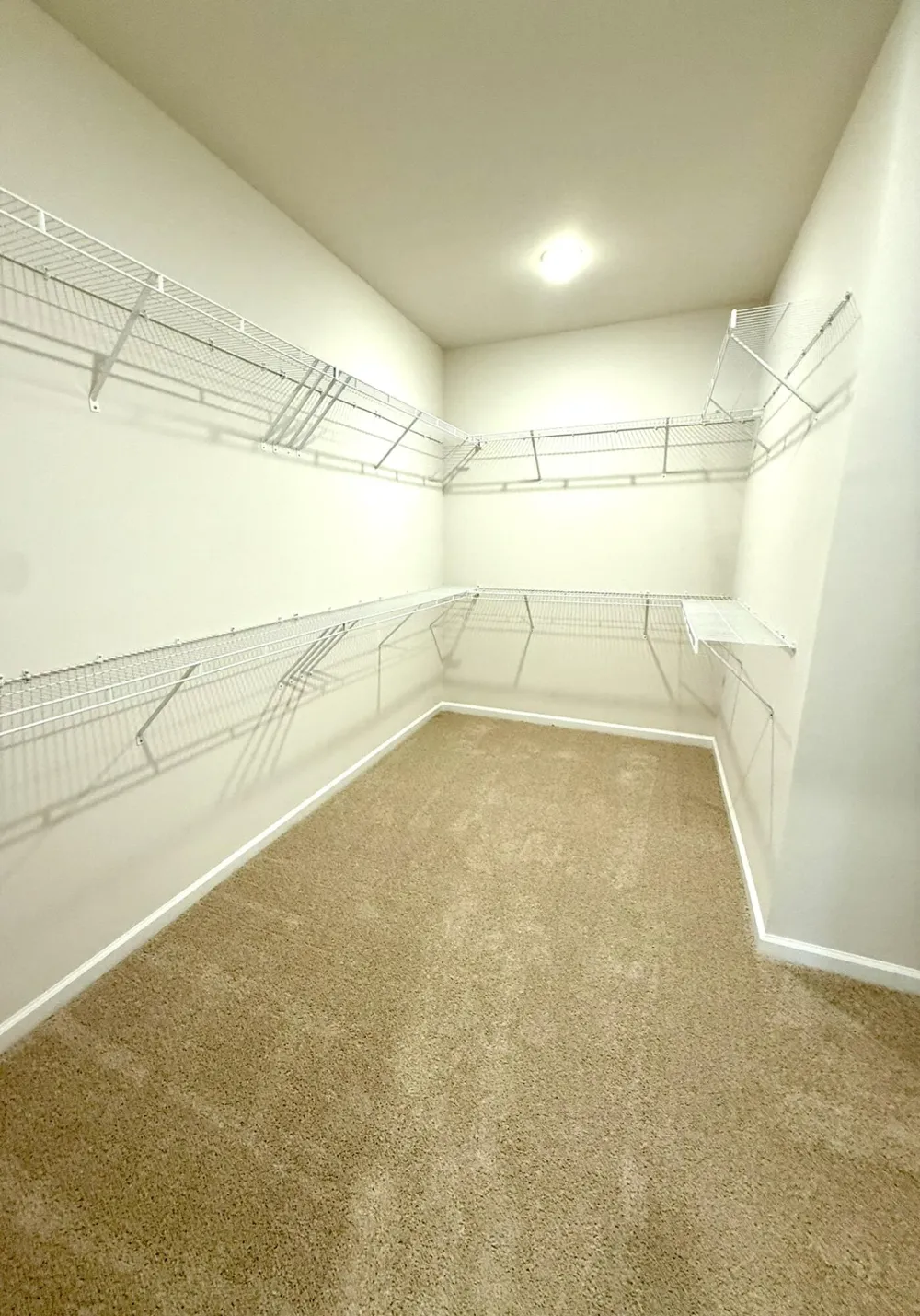 9093 Malahide Lane Aiken, SC 29801