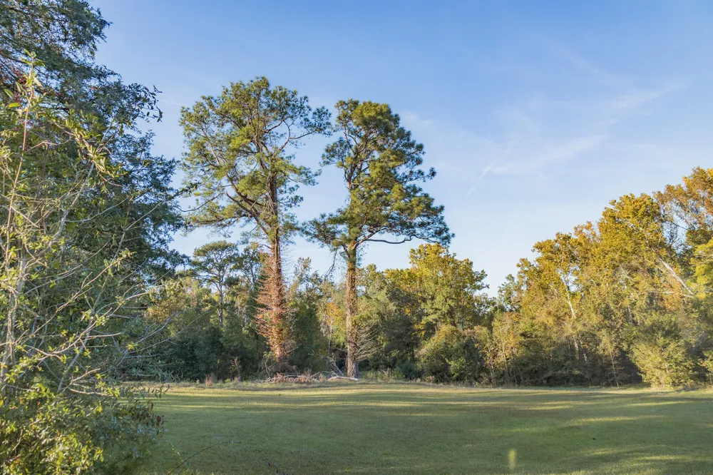 341 Azalea Avenue Millen, GA 30442