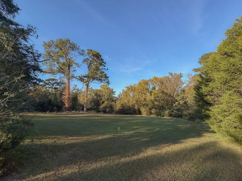 341 Azalea Avenue Millen, GA 30442