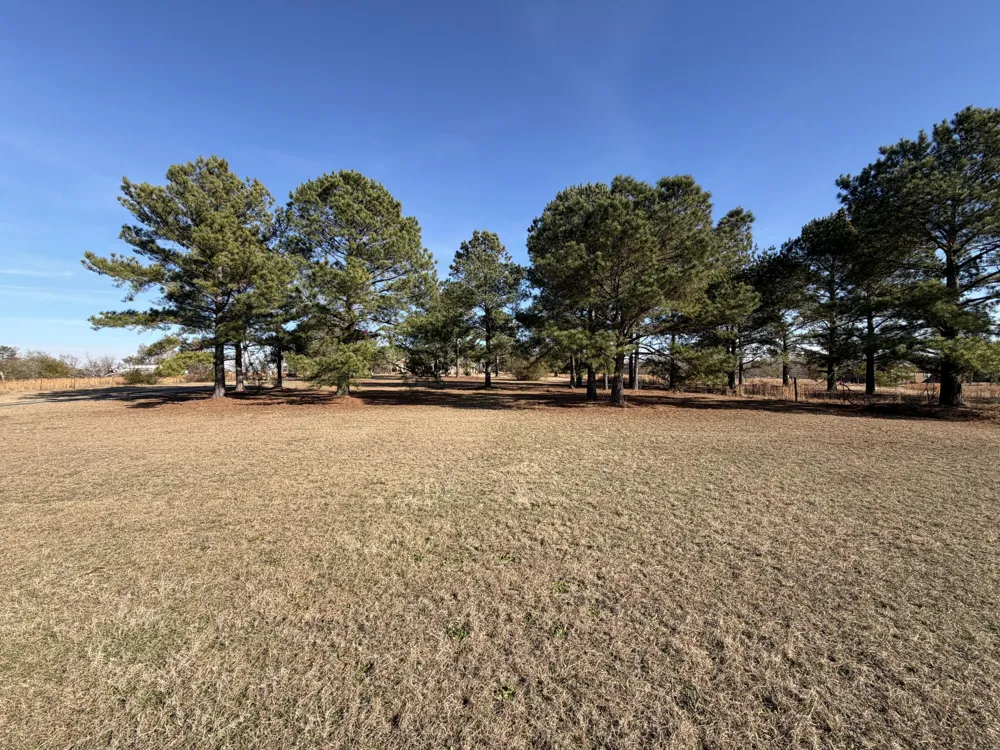 1033 Marks Walden Road Blythe, GA 30805