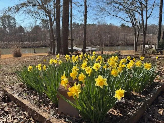 132 Sunset Drive Eatonton, GA 31024
