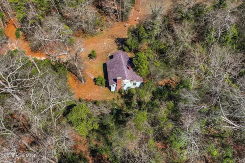 1081 Bamboo Lane