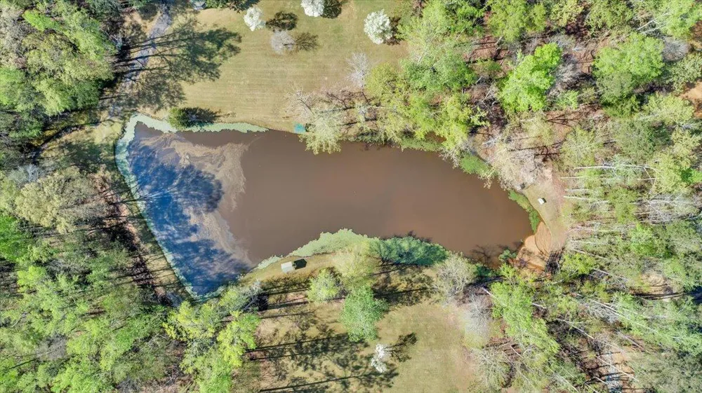 7025 Rance Perry Road Appling, GA 30802