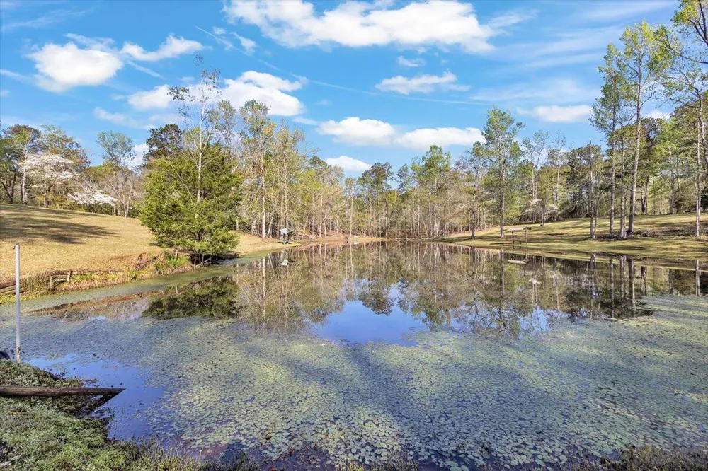 7025 Rance Perry Road Appling, GA 30802