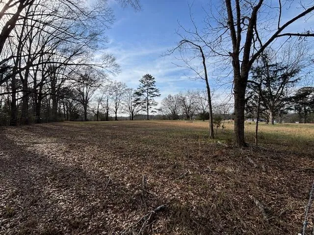 0 SE Barnett Road Sharon, GA 30631