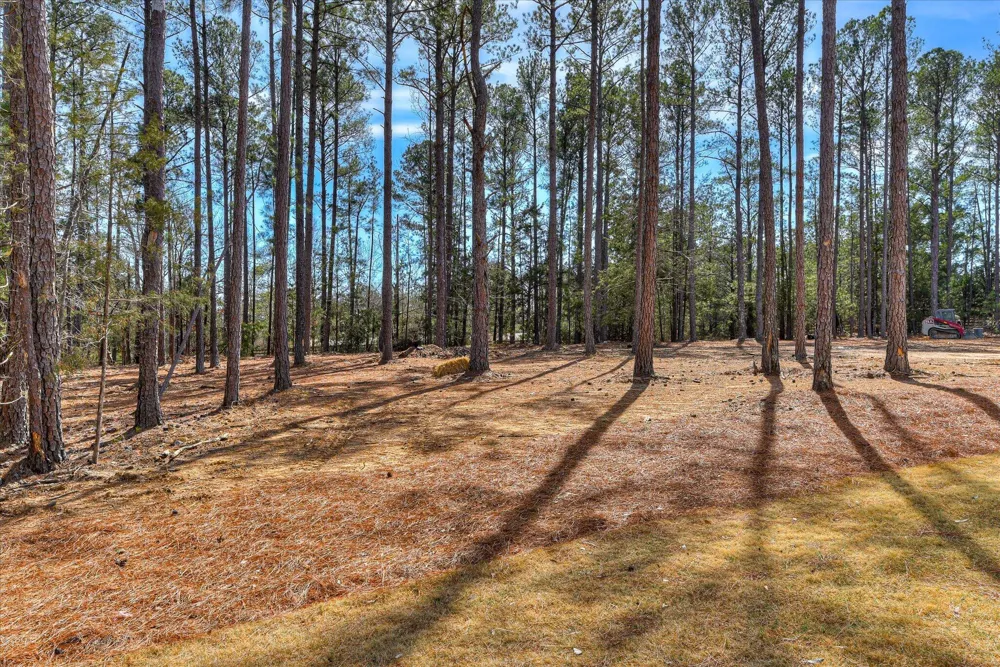 1006 Sadie Lincolnton, GA 30817