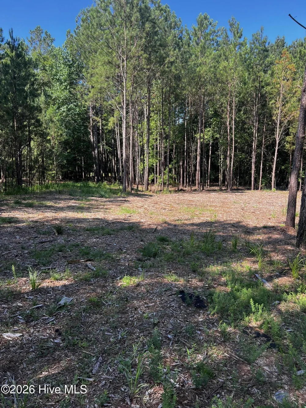 1198 Sunset Cove Tignall, GA 30668