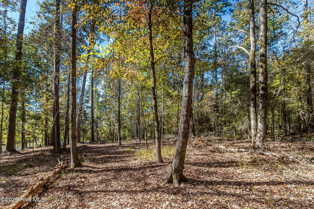 1036 Longleaf Way Lincolnton, GA 30817