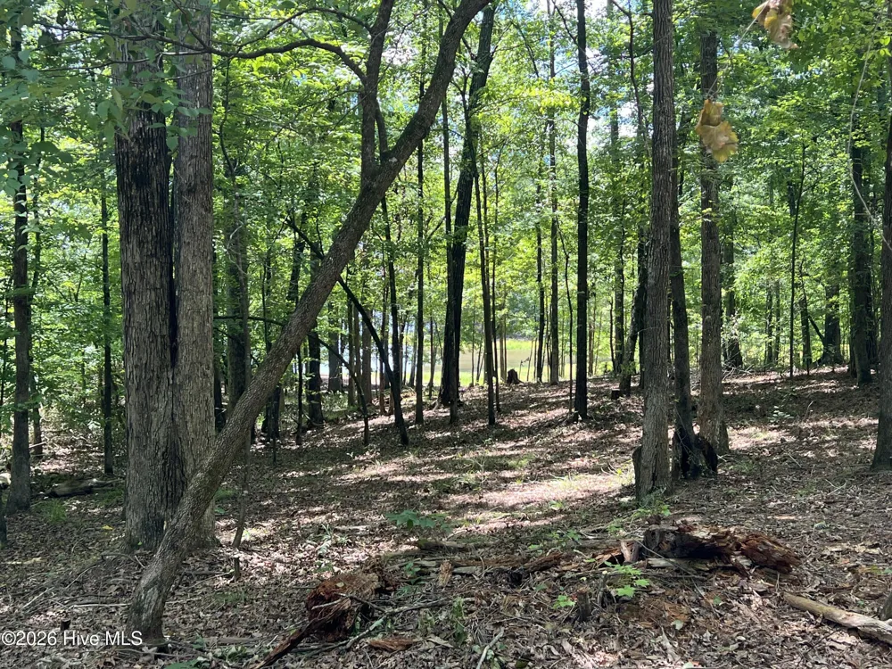 1021 S Pointe Court Tignall, GA 30668