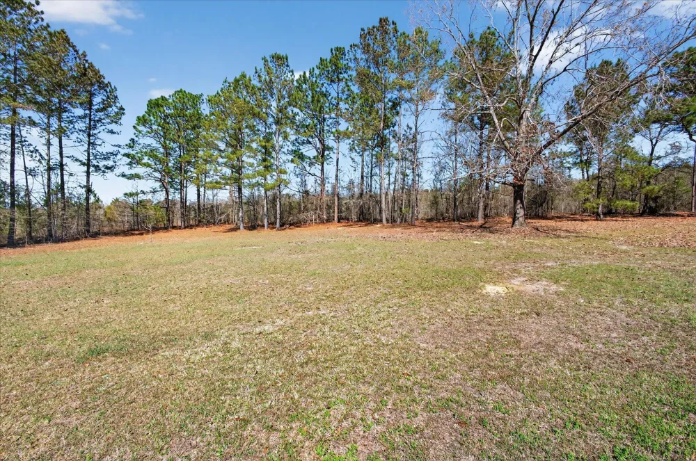 395 Winchester Road Sylvania, GA 30467